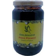 TeknoKapsül Andız Pekmezi Cam Kanoz 450 gr