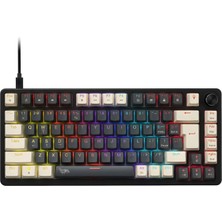 Gameagle %65 RGB Kablolu Mekanik Gaming Klavye Mavi Switch Hot Swap Eva Süngerli Oyuncu Klavyesi Örgü Kablolu