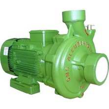 Alem Bertola Cms 7,5 Hp Santrifüj Pompa
