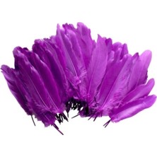 Renkli Kuş Tüyleri, Hobi Aksesuar Süs Malzemeleri 100 Adet