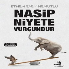 TeknoKapsül Nasip Niyete Vurgundur