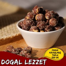 TeknoKapsül Fındık Kavrulmuş Tuzlu 500 gr
