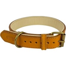 Calperia Hakiki Deri Antik Tokalı Köpek Tasması - Dayanıklı Tasarım