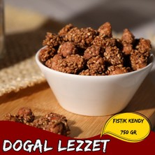 TeknoKapsül Fistik Kendy 750 gr