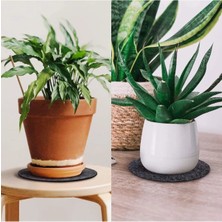 Siyah Saksı Altı Matı 15-20-25 cm 3 Boy 6 Adet