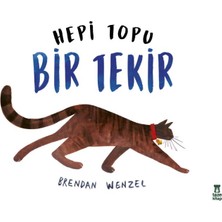 Taze Kitap Hepi Topu Bir Tekir