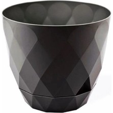 6 Adet  Yakamoz Saksı 14,5cm.