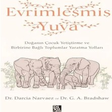 TeknoKapsül Evrimleşmiş Yuva