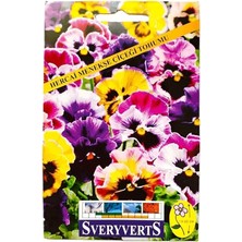 Pearl Shop Menekşe Çiçeği Tohumu