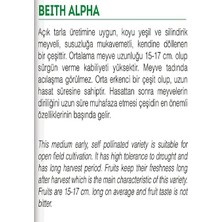 Pearl Shop Tarım Ata Tohumu Aranan Reyha Yerli Hıyar Tohumu 100 Adet Tohum