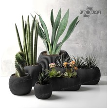 Pearl Shop Saksı Setleri (6, Gri)