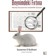 Irene Beynimdeki Fırtına