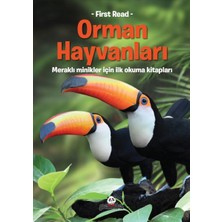 Beyaz Panda Yayınları Orman Hayvanları