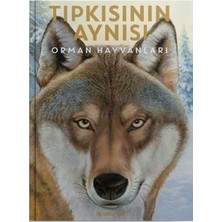 Usturlab Tıpkısının Aynısı