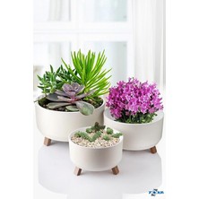 Pearl Shop Saksı Süzgeçli Ayaklı Delikli Plastik Aranjman Sukulent Saksısı (Fildişi, 3 Boy)