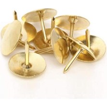 Pearl Shop Kutu Raptiye Toplamda 400 Adet Raptiye