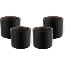 Pearl Shop 4 Adet Mimoza Saksı Küçük Boy Plastik Kaktüs Sukulent Saksısı (Siyah, 0.2 Litre)