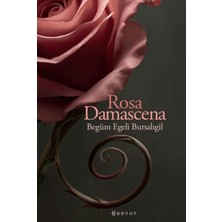 Calperia Rosa Damascena (Damask Gülü)