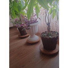 Pearl Shop Inci Ahşap Ahşap Saksı Damacana Tüp Altlığı