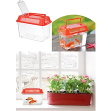 Easera Ticaret Taşınabilir Kulplu Mini Akvaryum ve Fanus