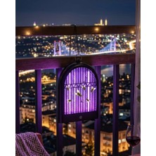 DS LLC Elektrikli Sivrisinek Öldürücü Uv Lamba Sessiz ve Taşınabilir DSLLC-2335Y6