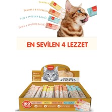 byasafkids Sıvı Kedi Ödül Maması - 100'LÜ Dev Paket