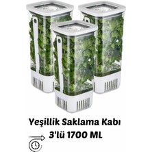 PremiumPort 3'lü Yeşillik Saklama Kabı, 1700 Ml, Uzun Ömürlü, Tazelik Koruyucu