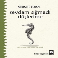 Bigelal Sevdam Sığmadı Düşlerime