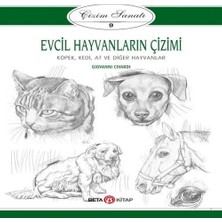 Bigelal Çizim Sanatı Serisi 9 - Evcil Hayvanların Çizimi