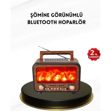 TeknoKapsül Alev Işığı Efektli Solar Bluetooth Hoparlör Radyo Destekli Taşınabilir Model