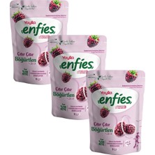 Yayla Enfies Freeze Dried Böğürtlen 15 G X3