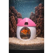 Mdizmir Japon , Beta Balık Yuvası