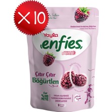Yayla Enfies Freeze Dried Böğürtlen 15 G X10