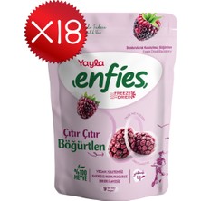Yayla Enfies Freeze Dried Böğürtlen 15 G X18