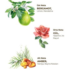 Nessi World Kolonya Pet Şişe Sprey 150 ml Amber