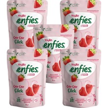 Yayla Enfies Freeze Dried Çilek 15 G X5