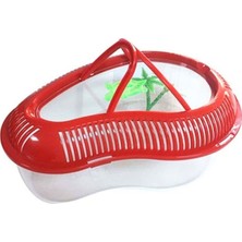 Ege Yeli Kapaklı Kaplumbağa Bahçesi Kırmızı