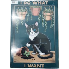  ekstrafix poster tsp0080-a3