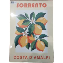  ekstrafix poster tsp0040-a3