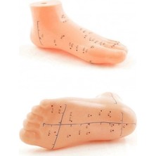 TeknoKapsül Ayak Akupunktur Bölgesi Maketi