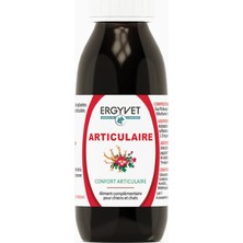 Ergyvet Joint Köpek ve Kedi Eklem Destek Sıvı Takviye