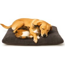 Papağanhane Polarlı Elyaf Dolgulu Kedi & Köpek Yatağı – 100X60 Cm, Astar Tabanlı Rahat Minder