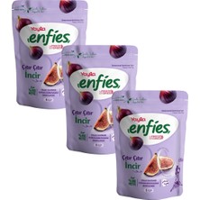 Yayla Enfies Freeze Dried Incir 20 G X3