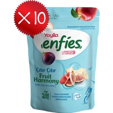 Yayla Enfies Freeze Dried Fruit Harmony 15 G X10