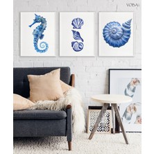 Voba Store 3 Parça Dekoratif Deniz Kabuğu Tablo Seti