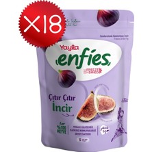 Yayla Enfies Freeze Dried Incir 20 G X18