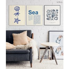 Voba Store 3 Parça Deniz Mdf Tablo Seti