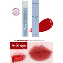 Dearmay Dear.may Lost Ribbon Blur Tint – Nemlendirici Hafif Mat Dudak Tinti 3.3g - LR04