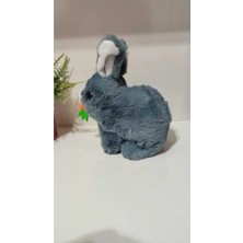 Famemus Accessory Zıp Zıp Sesli ve Hareketli Tavşan