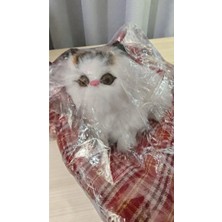 Famemus Accessory Sesli Kendinden Yataklı Yapışık Kedicik Ürün Boyutu Yatak Dahil 23CM*23 cm